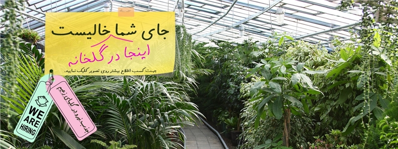 جای شما در گلخانه خالیست