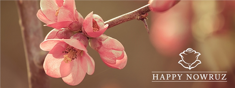 Happy Nowruz