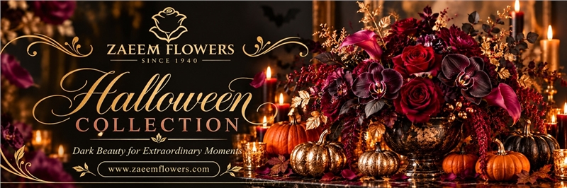 Happy Halloween